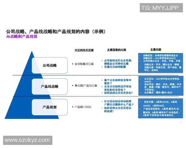 构建UU国际市场细分与用户画像系统的创新策略与实践探索