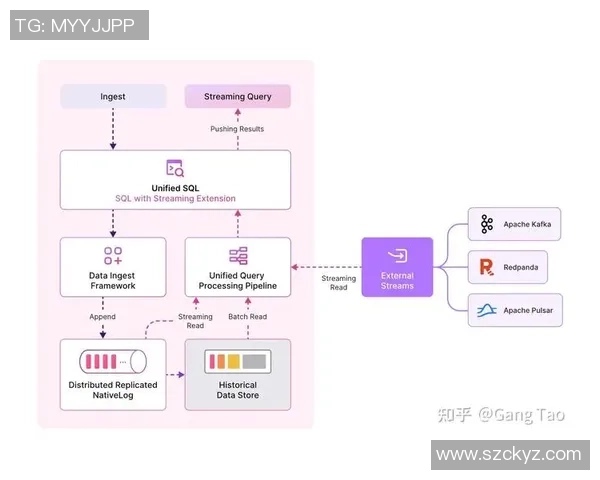 构建高效的pg国际流批一体架构提升数据处理能力与业务响应速度