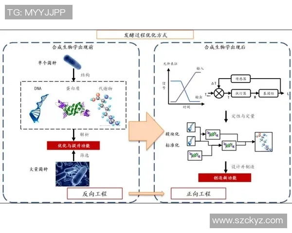 生物电竞的未来探索:融合生物系统与电子竞技的新兴趋势与挑战